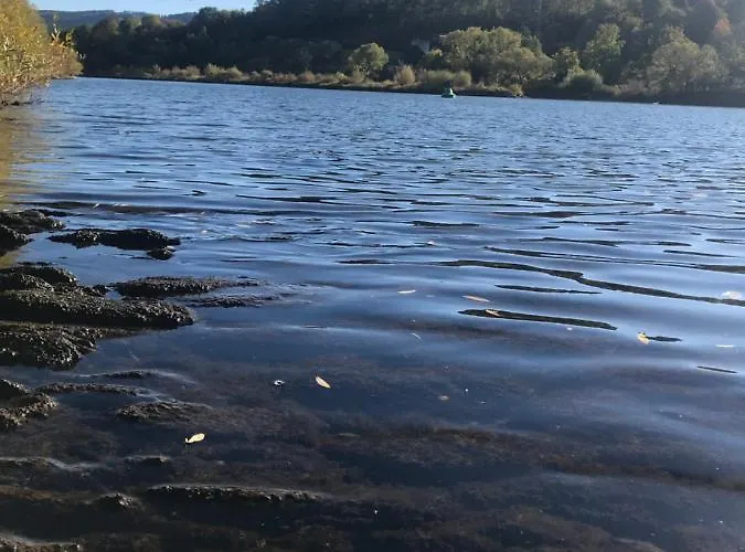 Ferienwohnung-mesenich * Zell an der Mosel