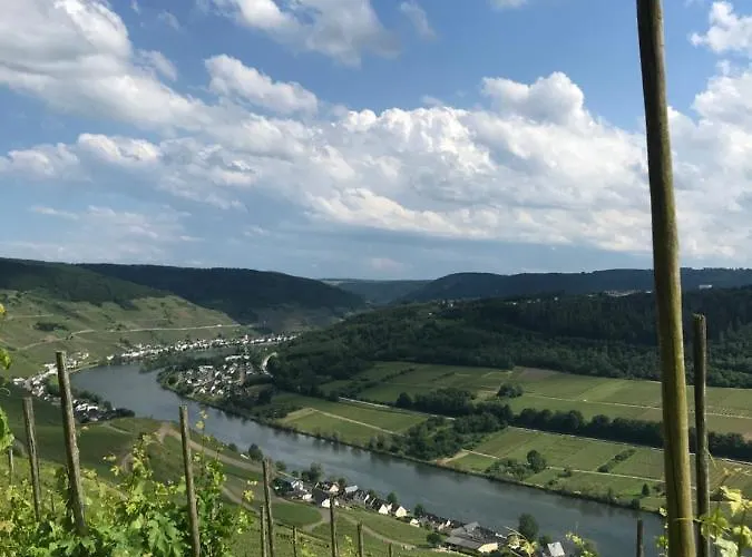 Ferienwohnung-mesenich * Zell an der Mosel